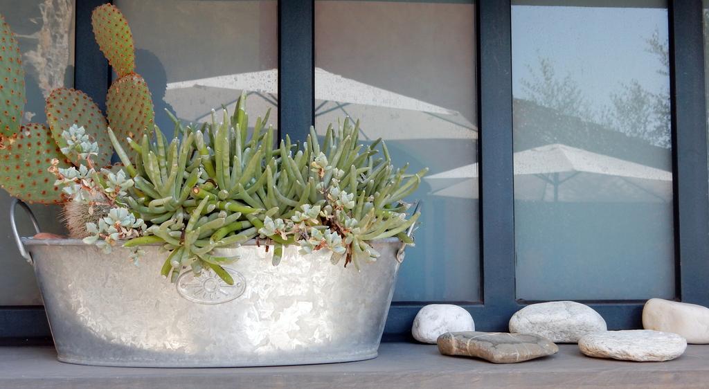 Ferienwohnung I Freschi San Bartolomeo Al Mare Exterior foto